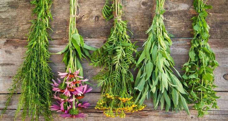 Herbs in folk medicine for the treatment of prostatitis in men. 